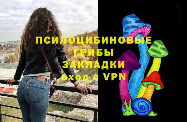 дурь Волоколамск