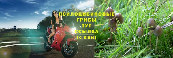 амф Володарск