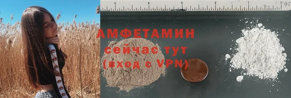 амф Володарск